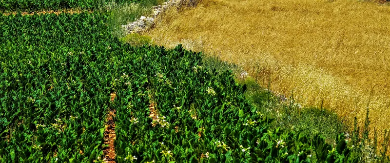 Умный алгоритм распознавания обработок