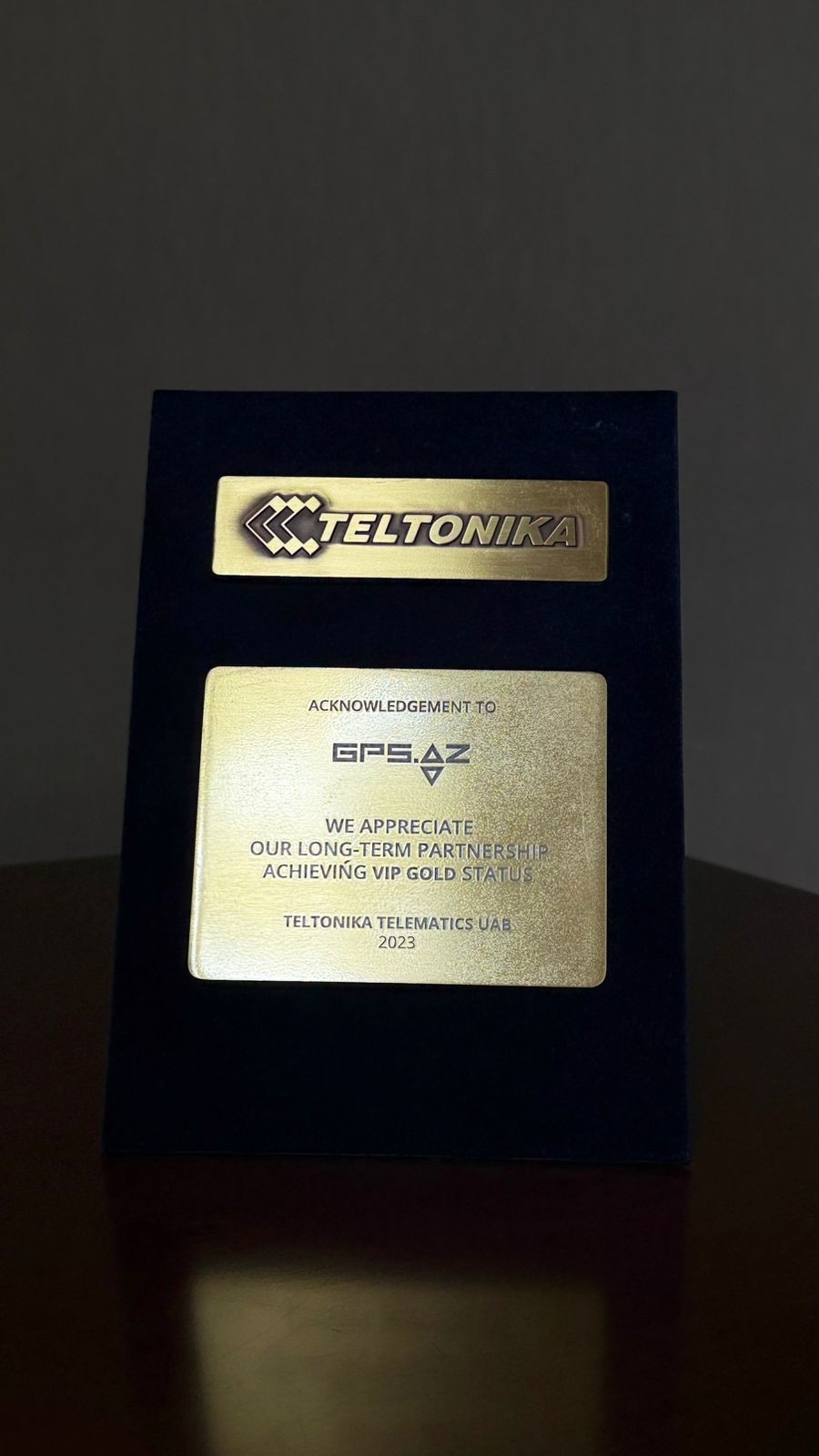 VIP Gold Partner Status 2025